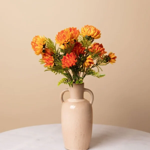 marigold-bloom-flower