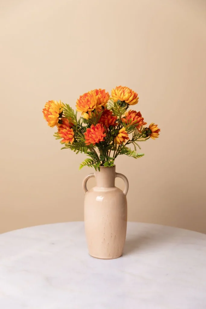 marigold-bloom-flower