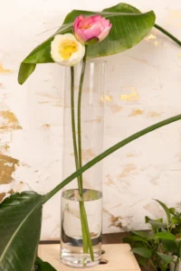 pink-lotus-flower-stem-with-natural-charm