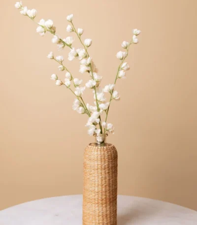 white-jasmine-flower