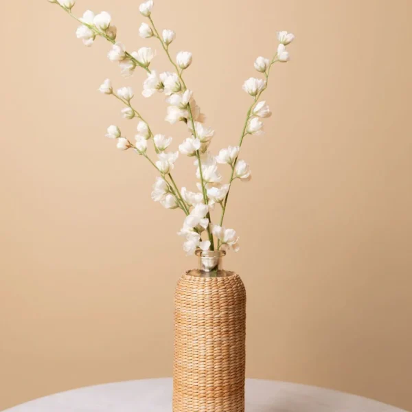 white-jasmine-flower
