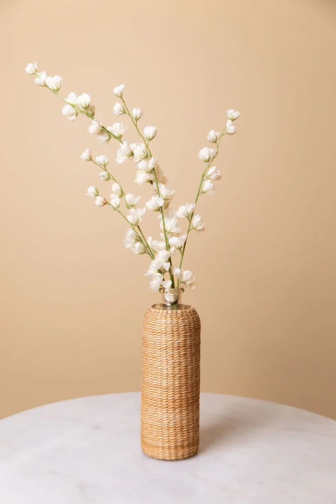 white-jasmine-flower