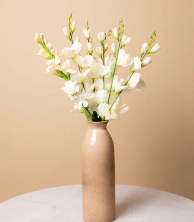 white-tuberose-flower