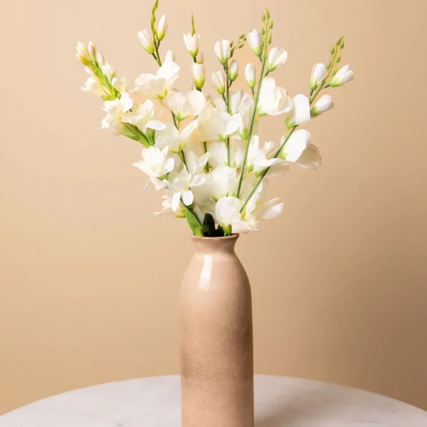 white-tuberose-flower