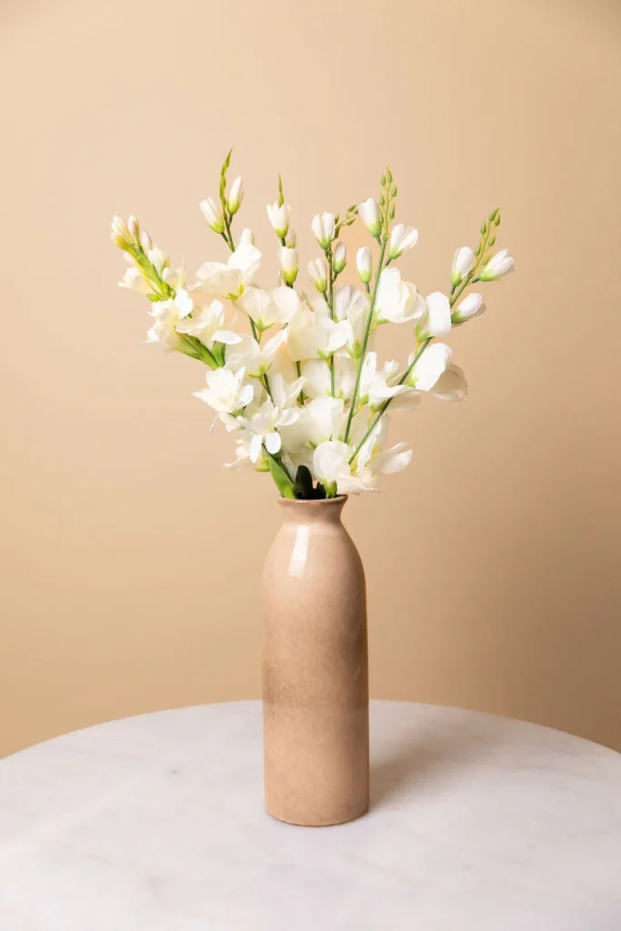 white-tuberose-flower