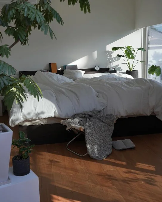 Bedroom Plants