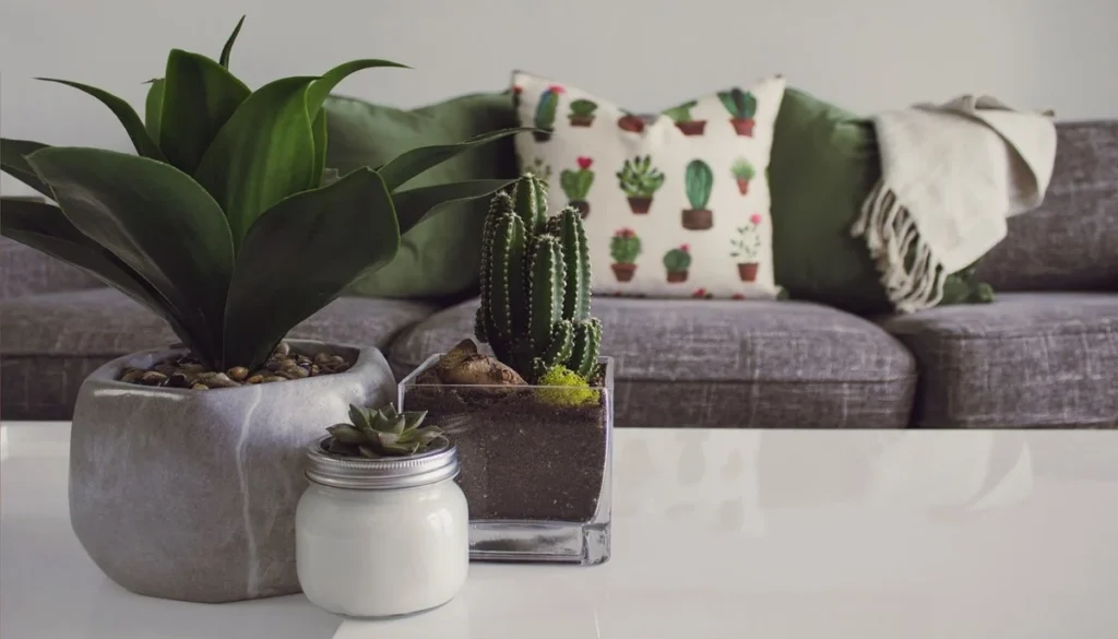 Low maintenance plants