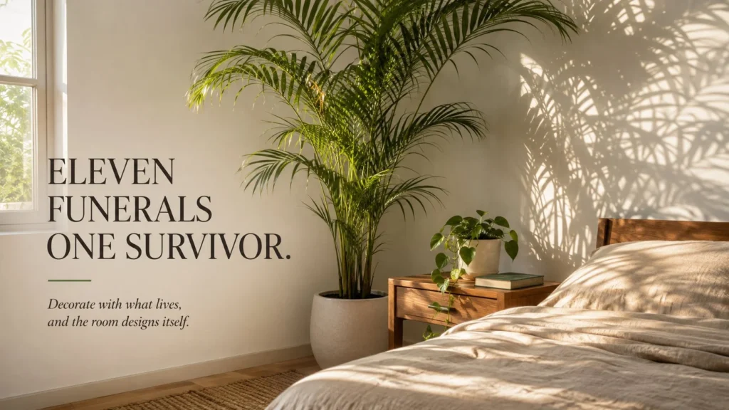 Plants As Home Decor_ What Finally Worked After Everything Else