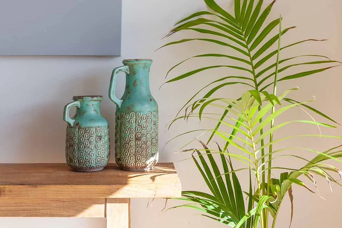 Tall Houseplant
