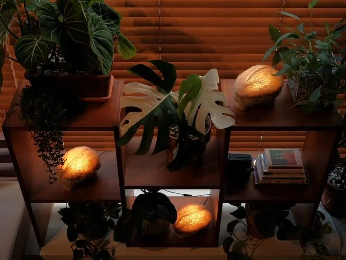 gourdo combines mycelium and luffa into a biomaterial lighting