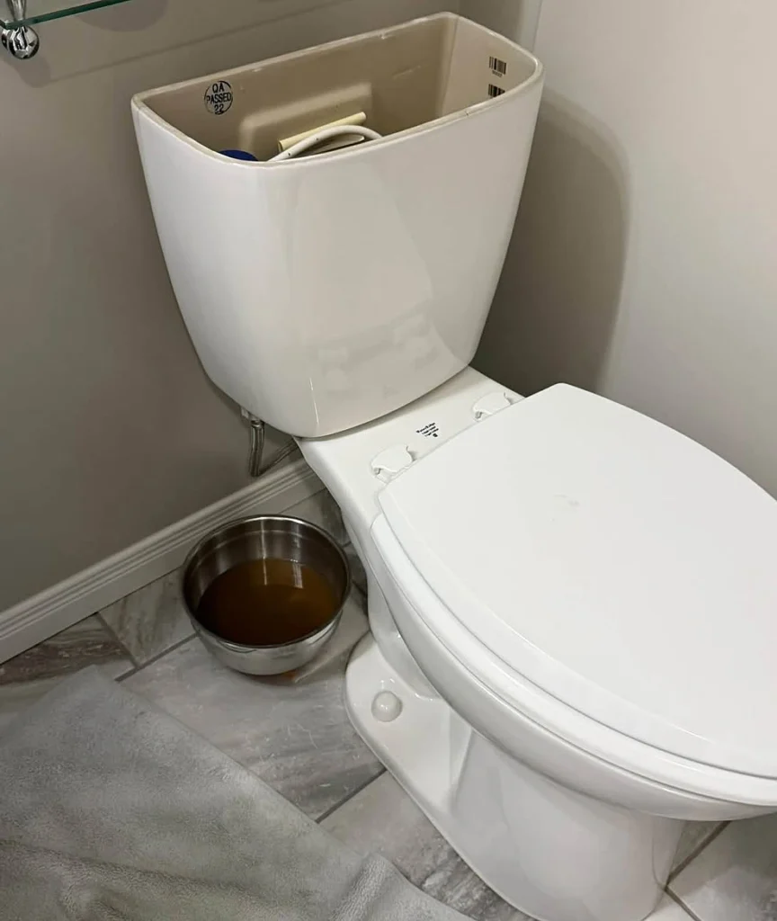 How to Fix a Running Toilet