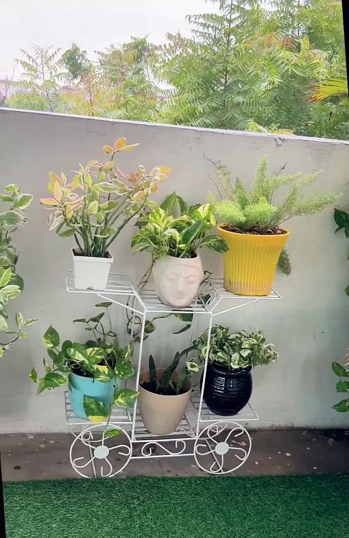 Multi Level Metal Plant Stand