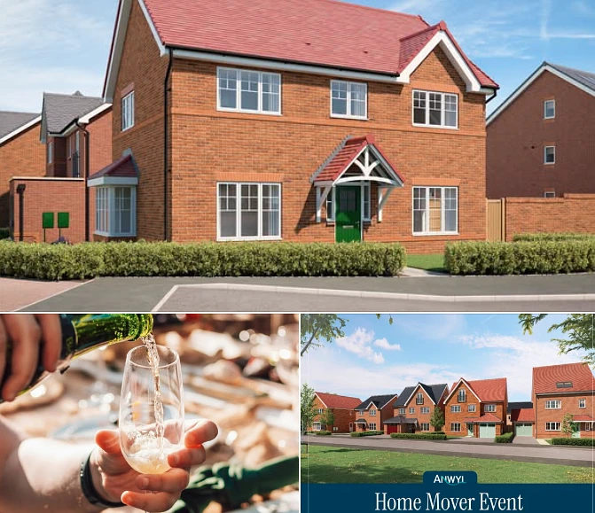 Two Show Homes, A Site Model And Free Soft Drinks